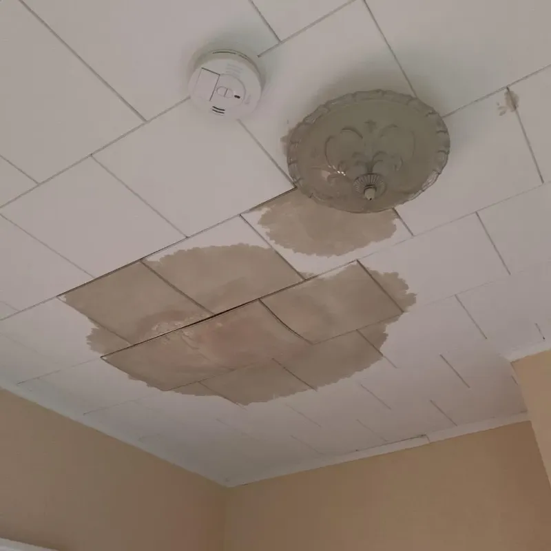 Ceiling Water Damage Repair in Eidson Road, TX