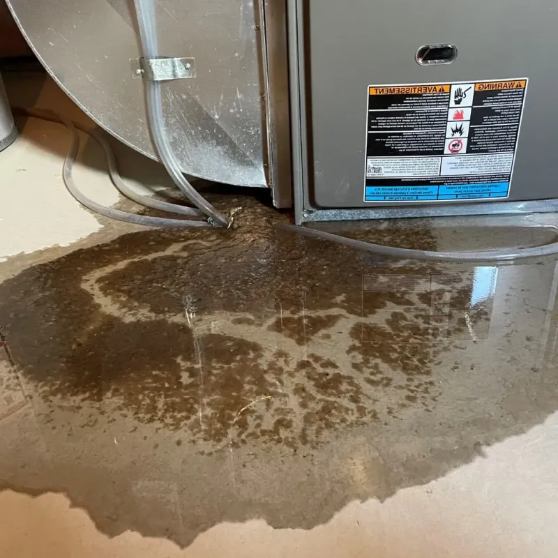 Pipe Burst and Leak Restoration in Eidson Road, TX