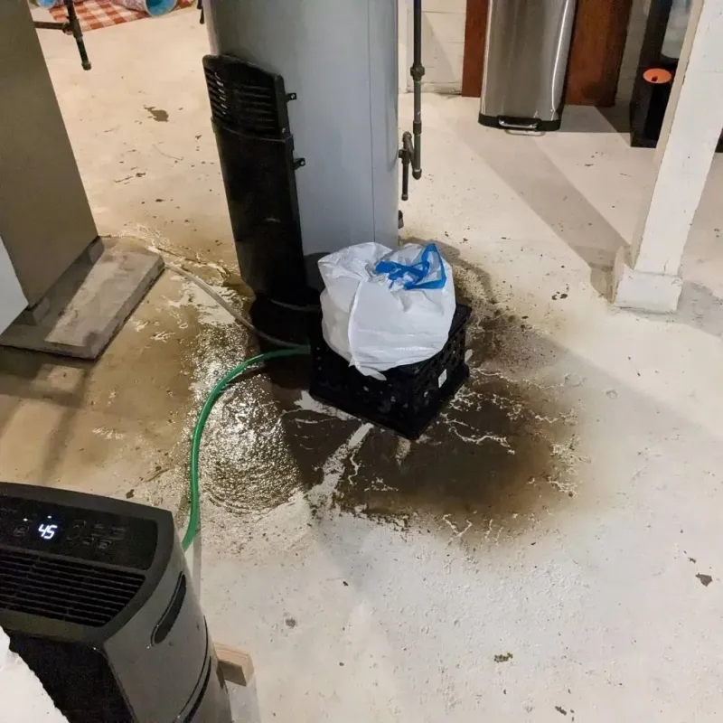 Sewage Backup Cleanup Service in Eidson Road, TX